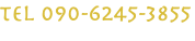 TEL 090-6245-3855