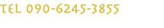 TEL 090-6245-3855